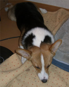 �܂����Ă��Q�Ă܂�